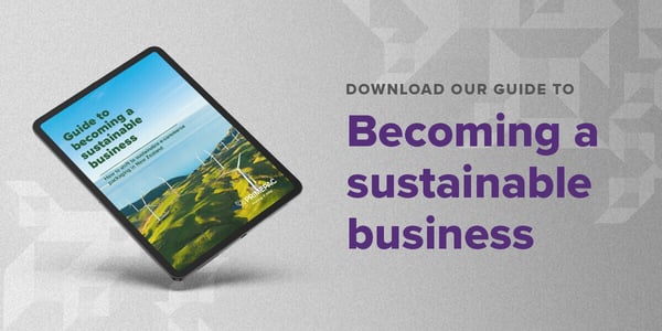 Download the sustainable business catalogue