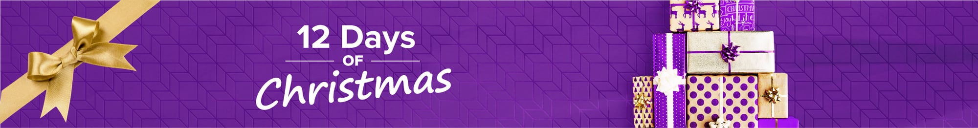 251014 PP 12 Days_Landing Head-31