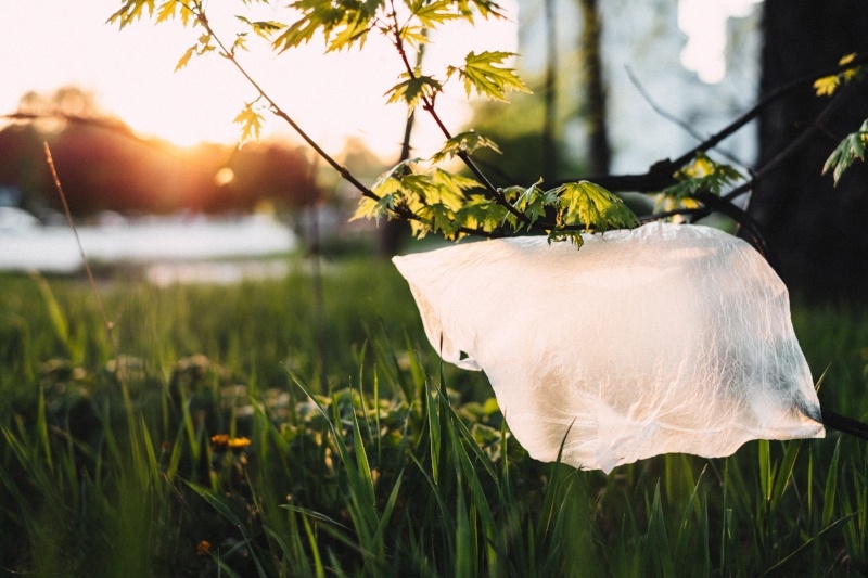 Single-use plastic bag