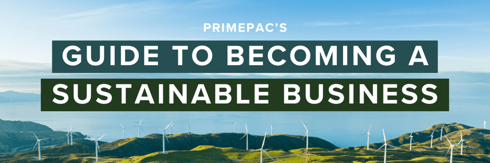 How to become a sustainable business in New Zealand
