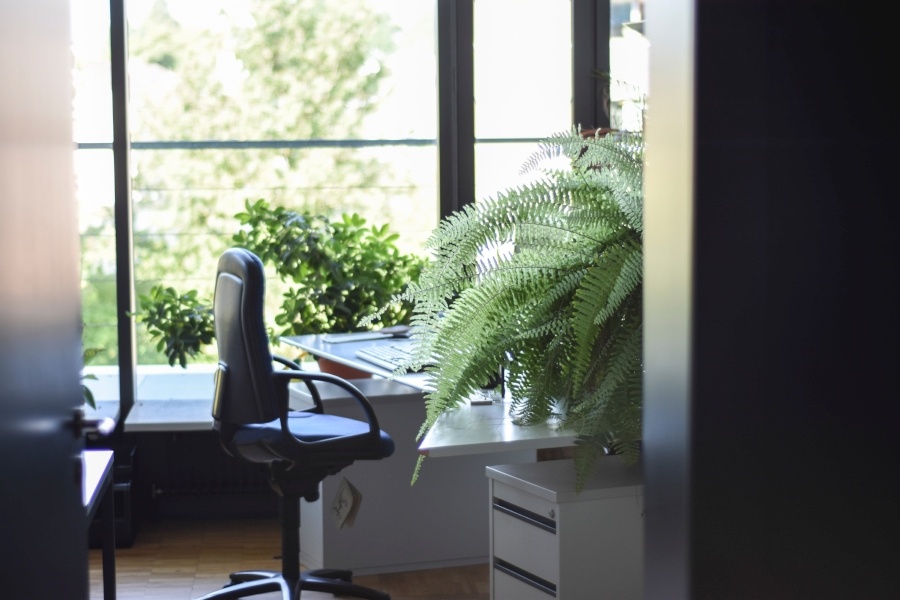 Learn five easy ways to make your office more environmentally friendly